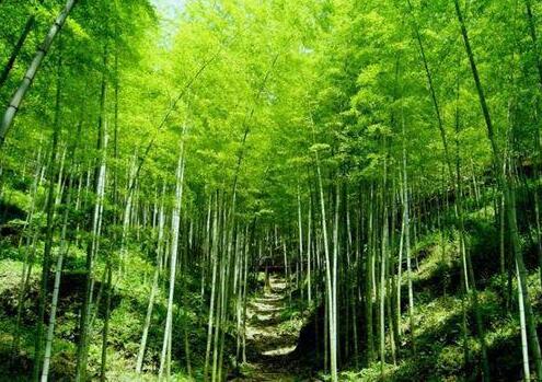 人少景美！五一小長假最適合出游的的當(dāng)?shù)? class=